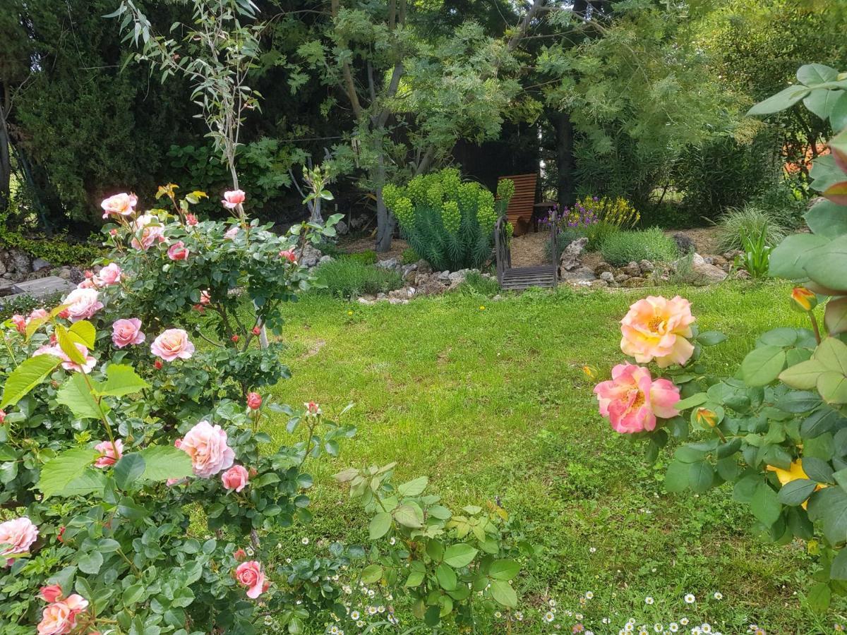 Maison Mimosa Salernes Buitenkant foto